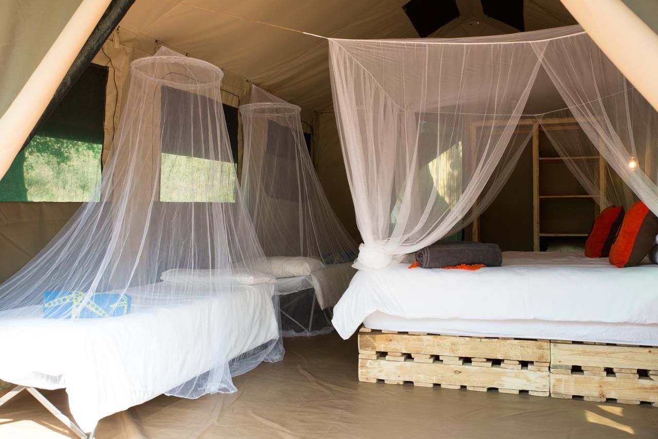 Southern Sands Eco Lodge هويدزبروت المظهر الخارجي الصورة