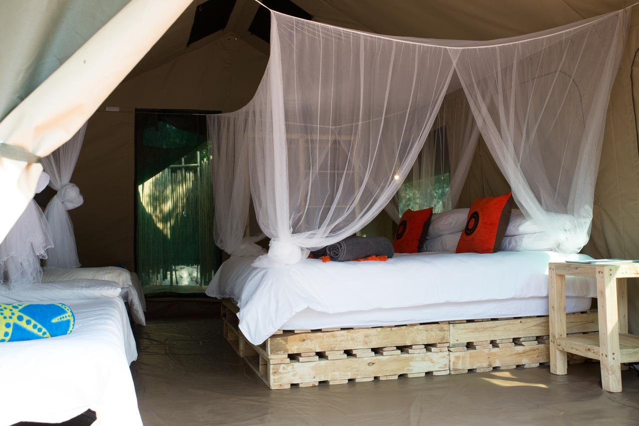 Southern Sands Eco Lodge هويدزبروت المظهر الخارجي الصورة