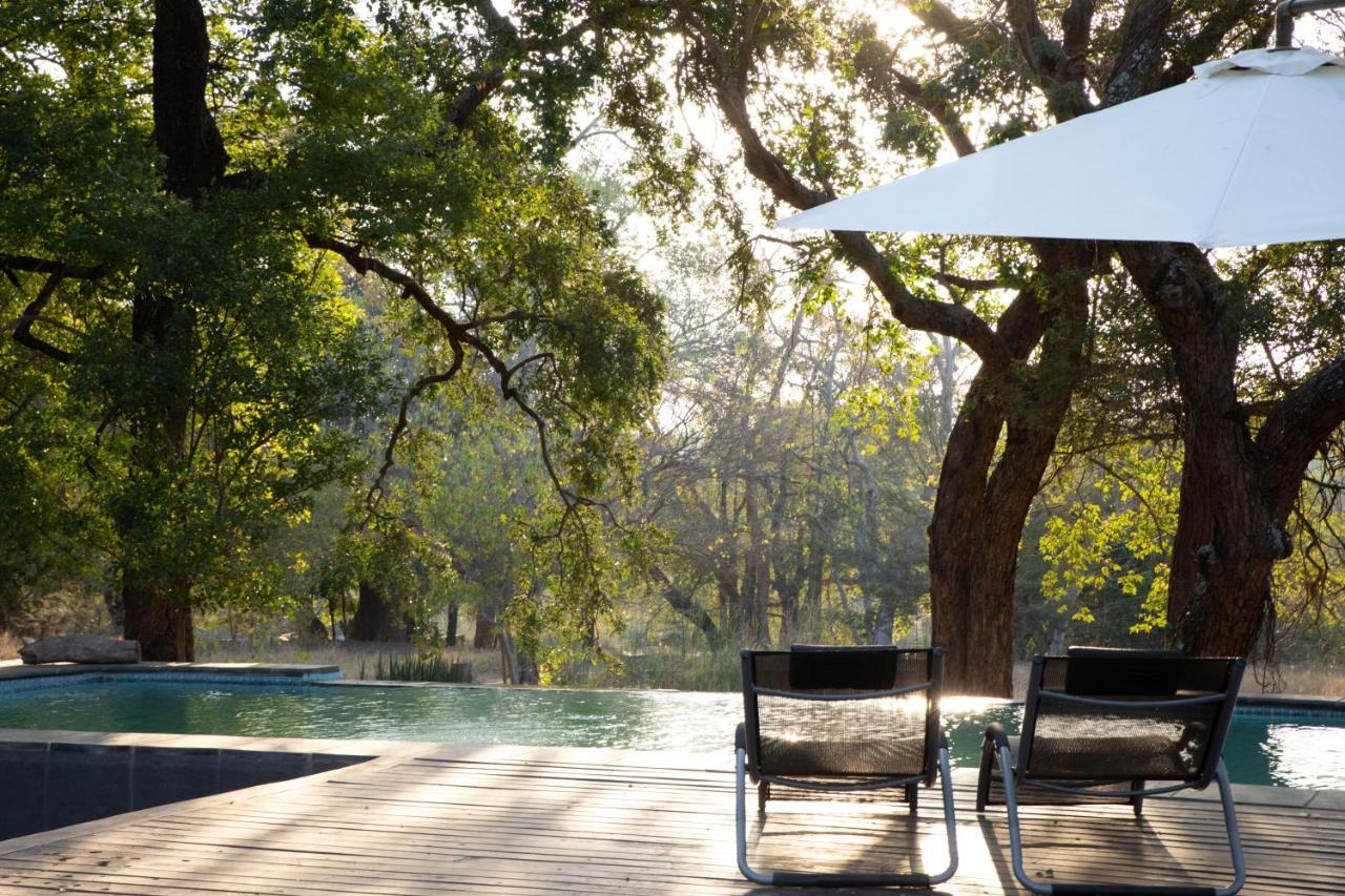 Southern Sands Eco Lodge هويدزبروت المظهر الخارجي الصورة